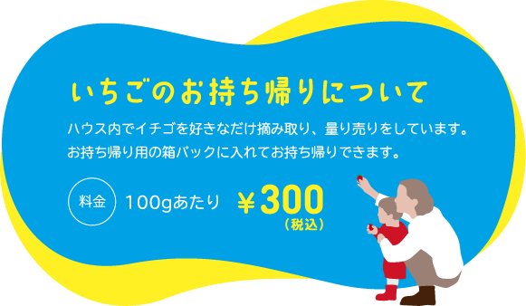 いちごのお持ち帰り